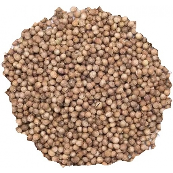 coriandre grains