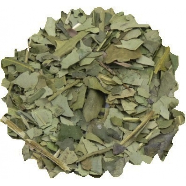 Maté bio 